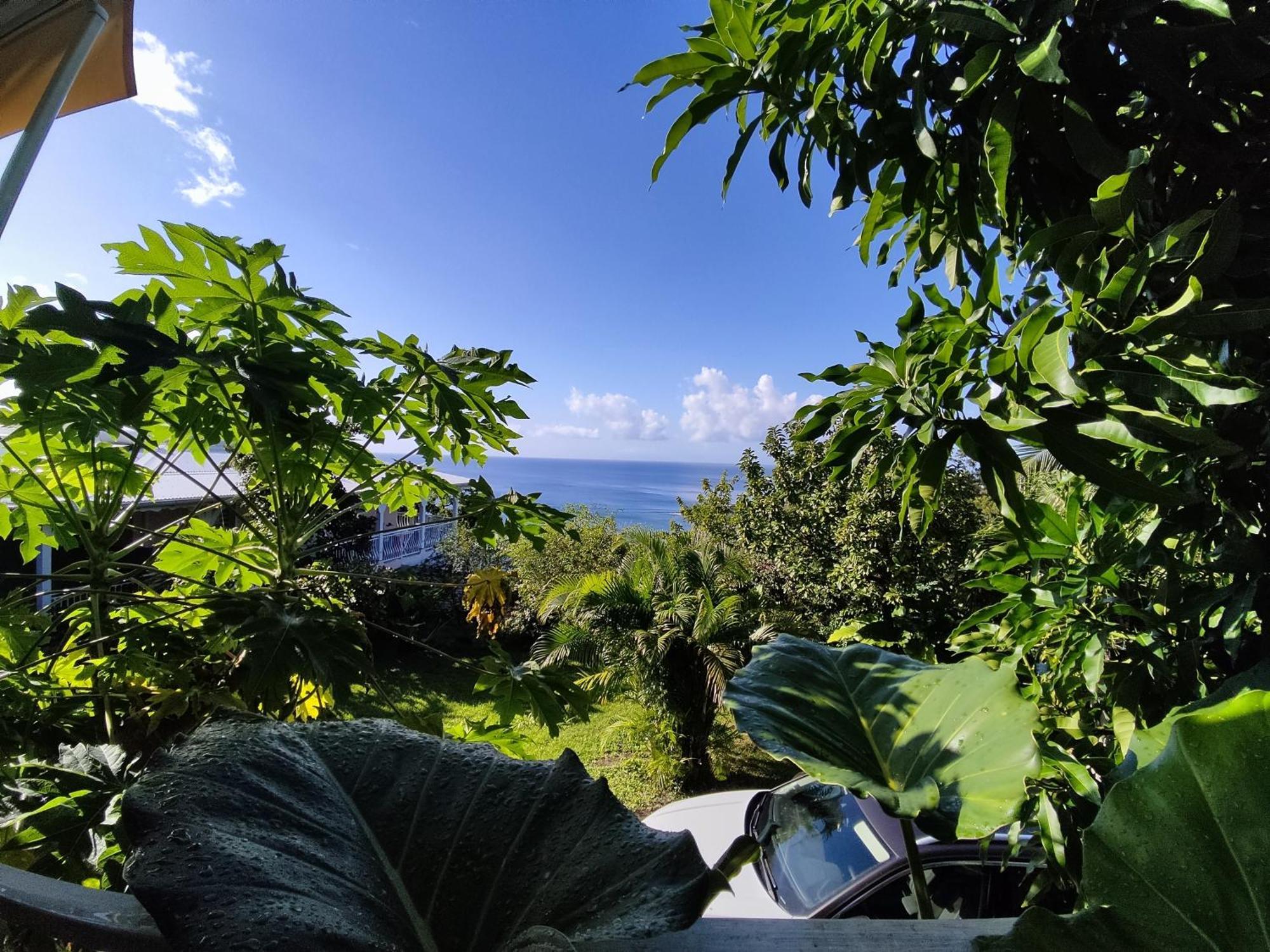 Bungalow With Sea View In Deshaies Quarto foto